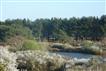 Location de vacances à Fouesnant Finistere 29