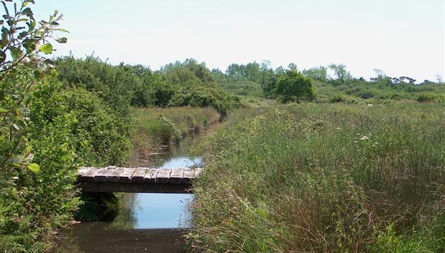 Espace naturel protégé en bordure du camping Kost-ar-moor