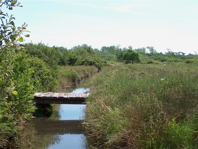 Espace naturel protégé en bordure du camping Kost-ar-moor