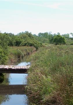 Espace naturel protégé en bordure du camping Kost-ar-moor - Camping Kost Ar Moor - Fouesnant