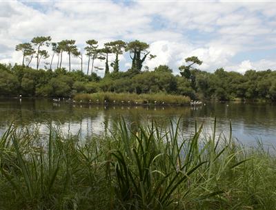 Espace naturel protégé en bordure du camping Kost-ar-moor