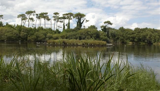 Espace naturel protégé en bordure du camping Kost-ar-moor