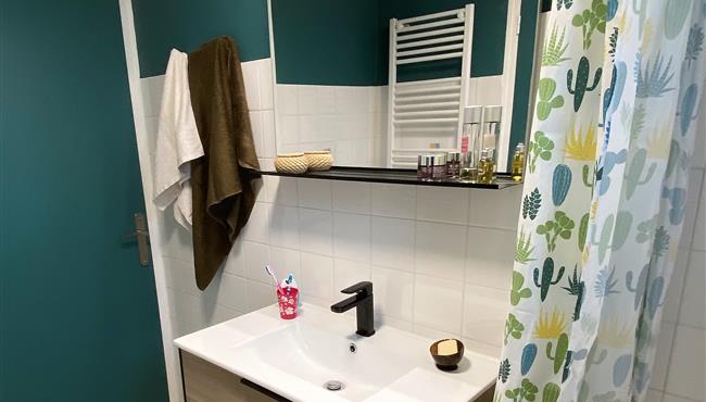 salle d'eau de l'appartement 2 pers à Fouesnant - camping kost ar moor